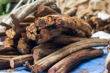 Adobestock 202636565